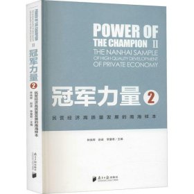 冠軍力量2：民營經(jīng)濟(jì)高質(zhì)量發(fā)展的南海樣本