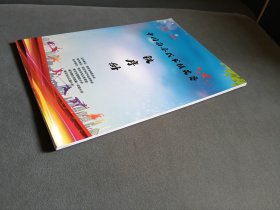 2020中国南京武术精英赛秩序册