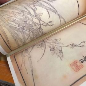 芥子园画传  兰谱