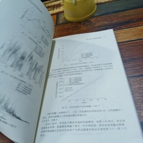 风电场并网稳定性技术