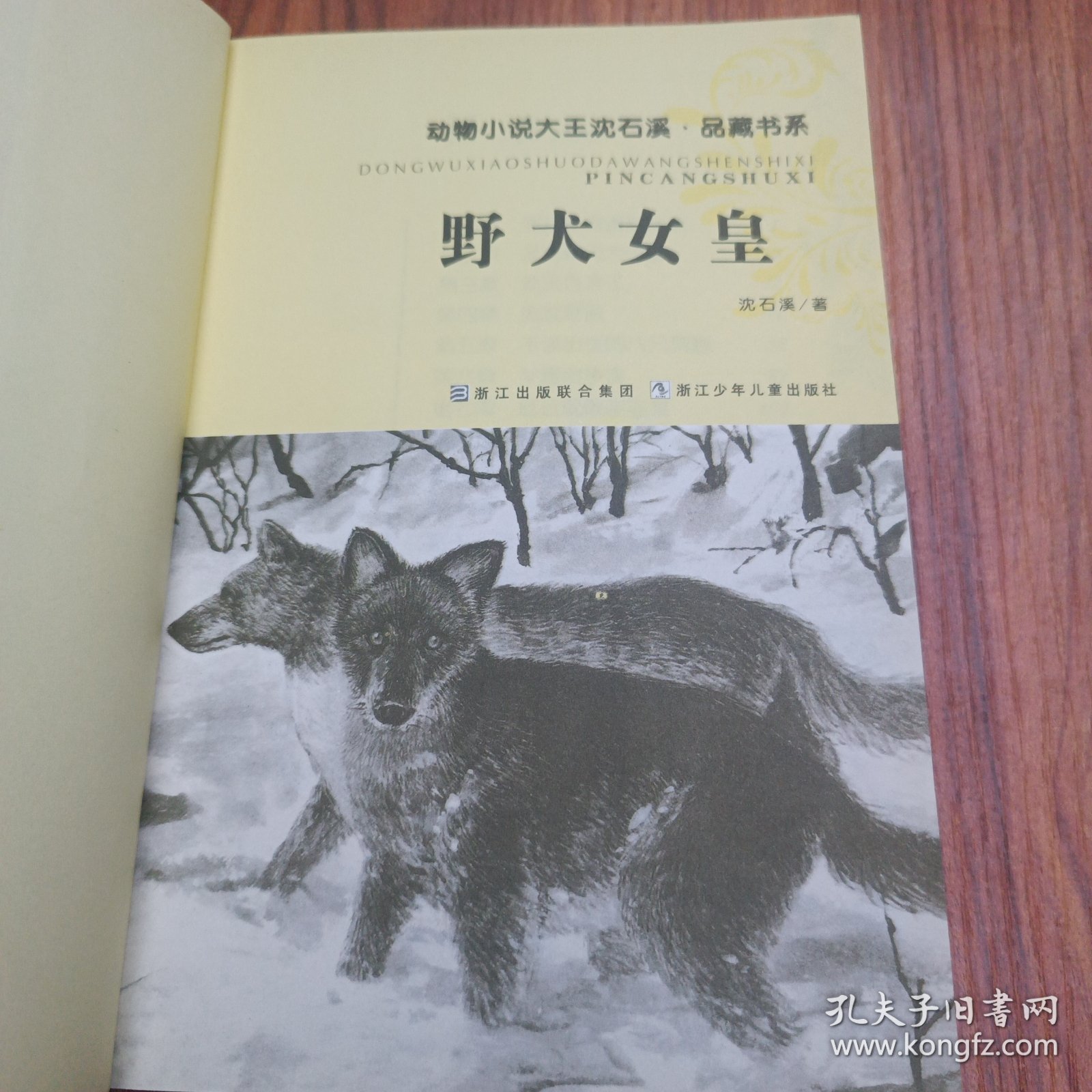 野犬女皇：动物小说大王沈石溪.品藏书系