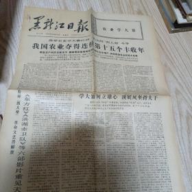 黑龙江日报1976年12月17日，30日（品如图，两张合售）