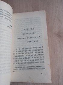 芝麻与百合