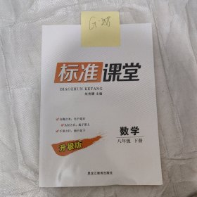 标准课堂数学