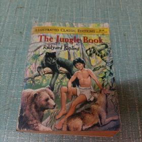 The Jungle Book(森林王子)单本