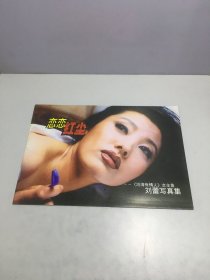 恋恋红尘《沧海有情人》女主角刘蕾写真集