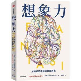 想象力 大脑如何让我们脱颖而出 科技综合 (瑞典)大卫·贝克斯特罗姆 新华正版