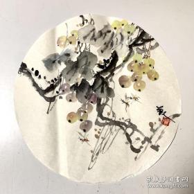 胡人国画团扇花鸟小品255