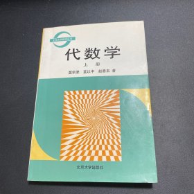代数学(上册)