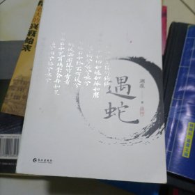 《遇蛇》人气作者溯痕 豆瓣高分虐心作品 裸背锁线书脊+封面烫银压凹