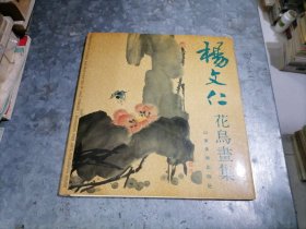 杨文仁花鸟画集 12开精装品好 1990年1版1印 仅印2500册 中排书架上