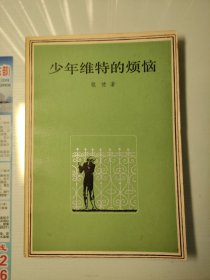 少年维特的烦恼