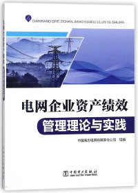 电网企业资产绩效管理理论与实践