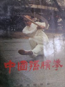 中国孙膑拳