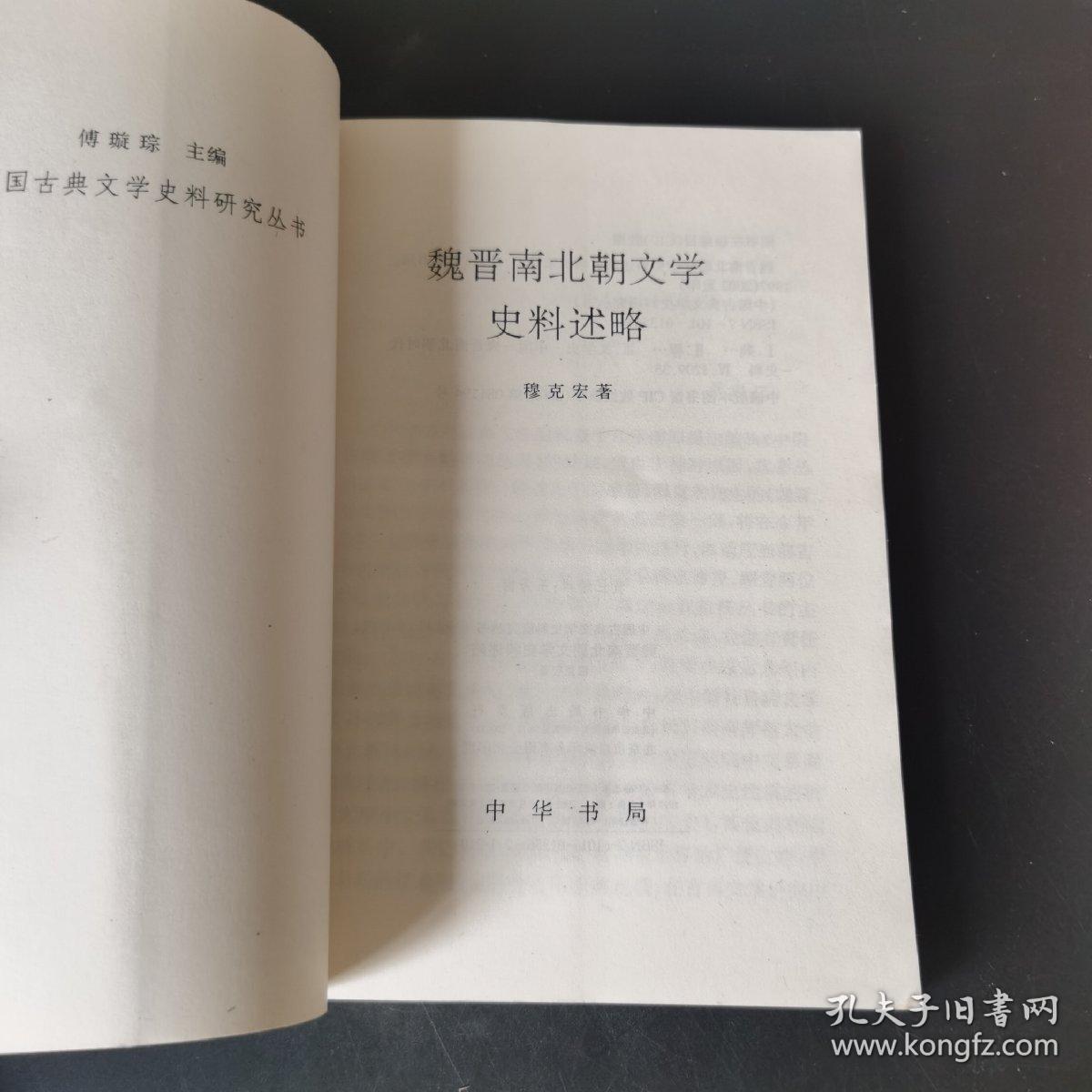 魏晋南北朝文学史料述略