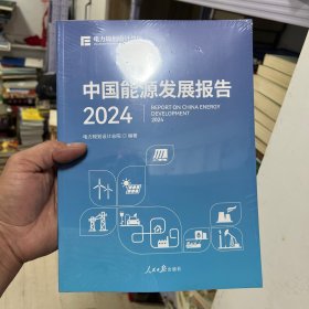 中国能源发展报告2024
