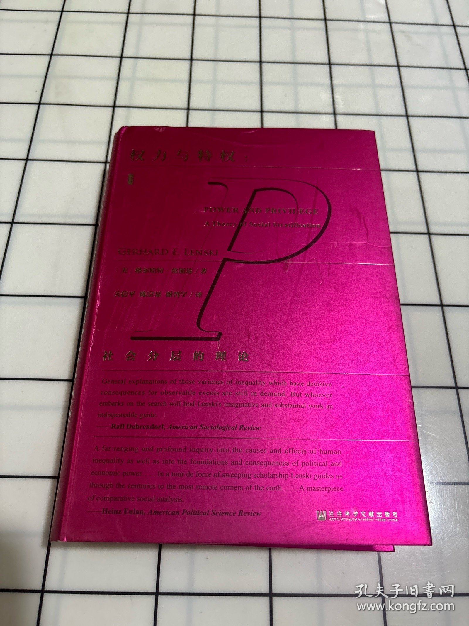 权力与特权:社会分层的理论