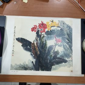 唐云 美人蕉 作品宣传画 尺寸52X38厘米，4开【1978年1版1印，人民美术出版社】
