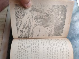 来自西乡的人(韩文)