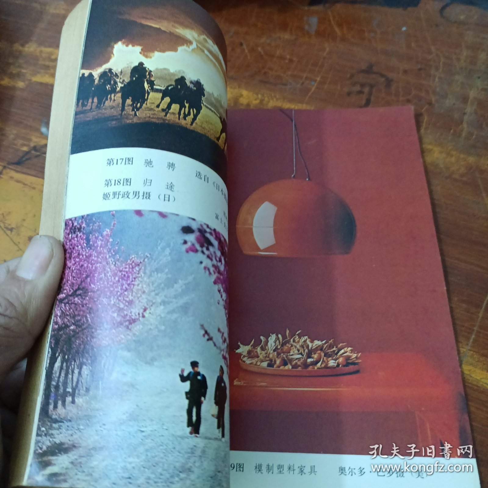 摄影丛刊 2