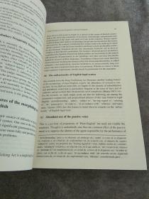 “外教社翻译硕士专业系列教材”笔译实践指南丛书：法律翻译解析