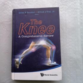 Knee, The: A Comprehensive Review