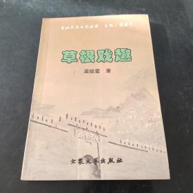 草根戏趣