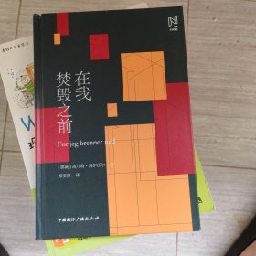 在我焚毁之前
