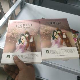 名师审定版 大语文 红楼梦(上下）