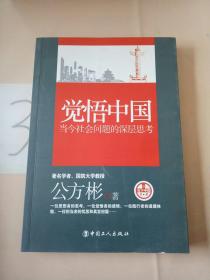 觉悟中国：当今社会问题的深层思考，。