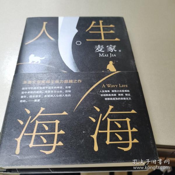 麦家：人生海海（茅盾文学奖得主麦家2019年强力之作）