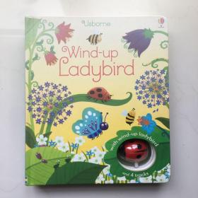 Wind-Up Ladybird 英文儿童轨道玩具书 精装 七星瓢虫发条轨道车 儿童玩具纸板书