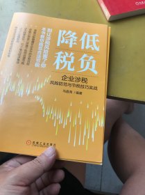 降低税负：企业涉税风险防范与节税技巧实战