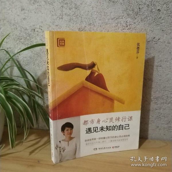 遇见未知的自己：都市身心灵修行课