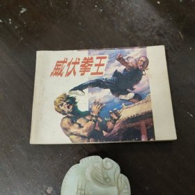 威伏拳王