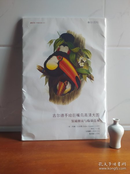 古尔德手绘巨嘴鸟高清大图 装裱册页与临摹范本