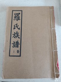 湖南桂阳地区罗氏资料23本内容