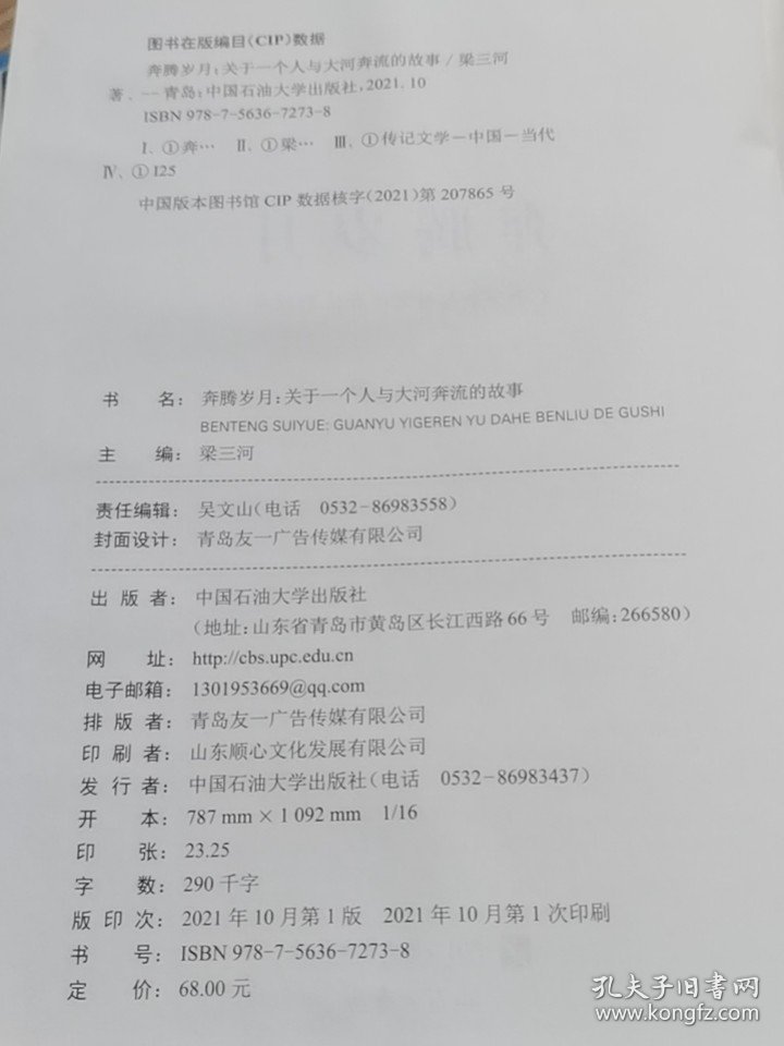 奔腾岁月：关于一个人与大河奔流的故事