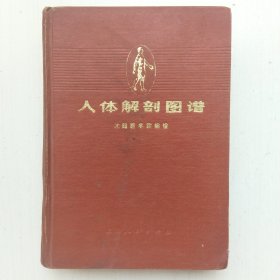 人体解剖图谱(普及本，沈阳医学院编绘，有一页毛主席语录)