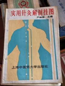 实用针灸解剖挂图