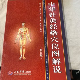 中华针灸经络穴位图