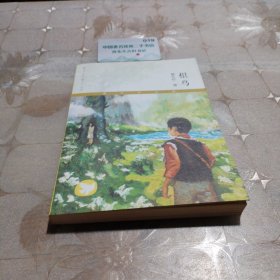 根鸟