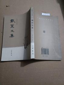 戴震文集(中国历史文集丛刊)