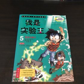 我的第一本学习漫画书：我是实验王5（电流与磁力）