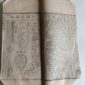 命理、风水、医学等合订通书一厚册，内含《绘图修正百家姓》《张天师灵验神符》《九星图像解说》《绘图详诠家学三字经》《二十六门煞》《六甲胎神》《建屋杂忌备用》《杂事宜忌撮要》《孔子问答》《相法歌诀》《喜神定局》《时课掌诀》《金钱卦》《算命不求人》《烧饼歌》《秘本诸葛神数》《经验蛇咬良方》《董公选择日要览》《阴阳历之异同》《校正百中经》《新撮叙吉时表》《乙丑年大字通书》等内容合订