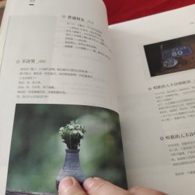 乖，摸摸头