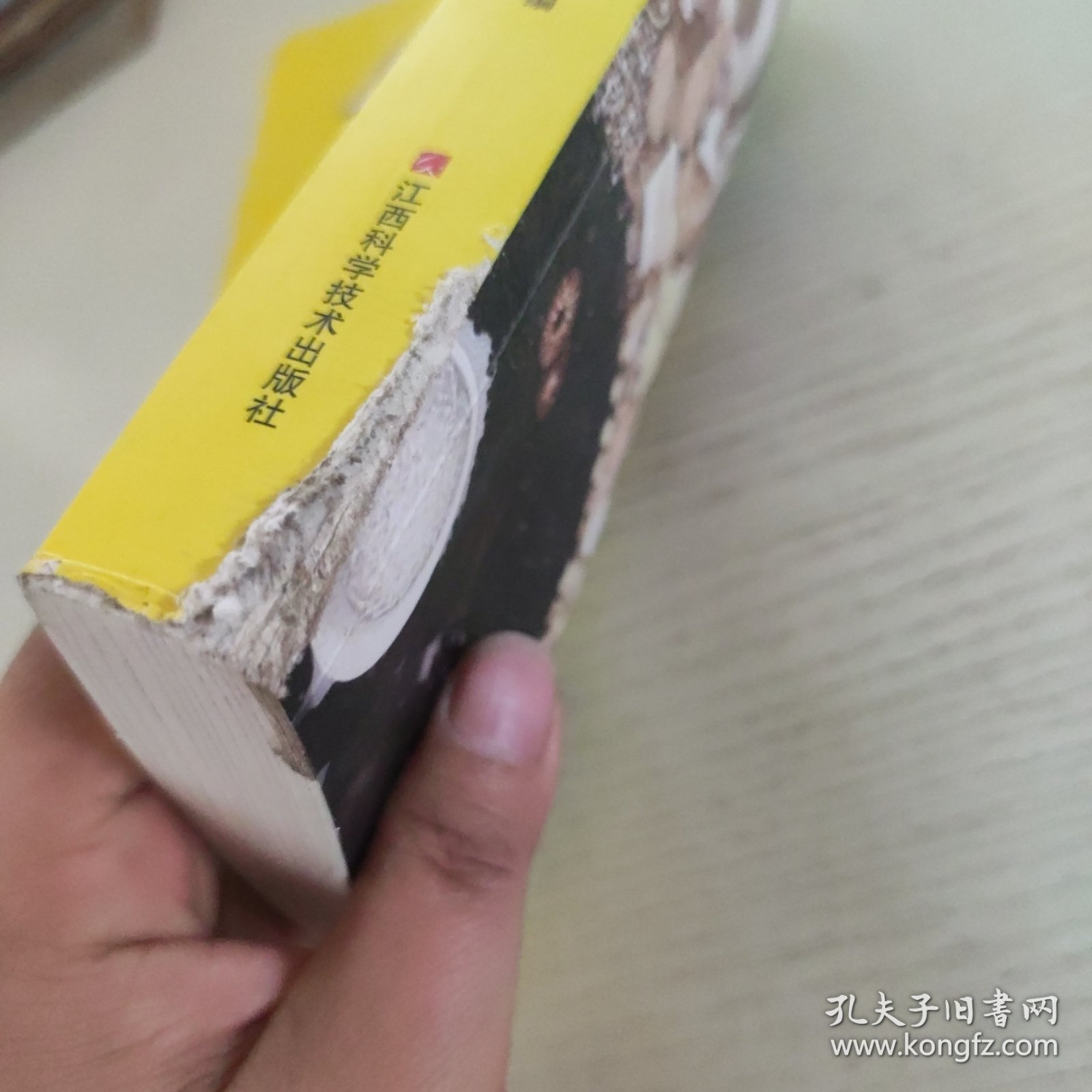 小方子治大病 中医书籍养生偏方大全民间老偏方美容养颜常见病防治 保健食疗偏方秘方大全小偏方老偏方中医健康养生保健疗法