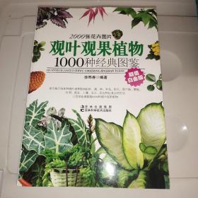 观叶观果植物1000种经典图鉴（超值白金版）