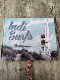 INDI SURFS 完美海浪搜寻之旅
