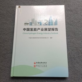 中国氢能产业展望报告